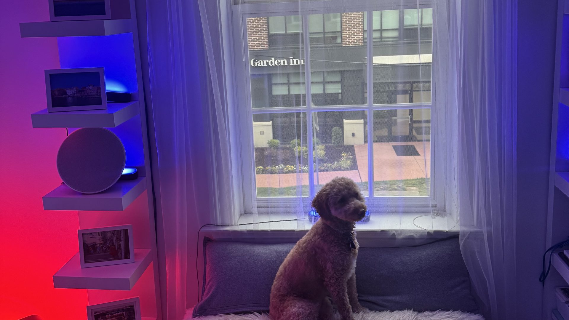 A cozy lounge nook at The Hive bathed in blue and magenta accent lighting beside a sunlit window